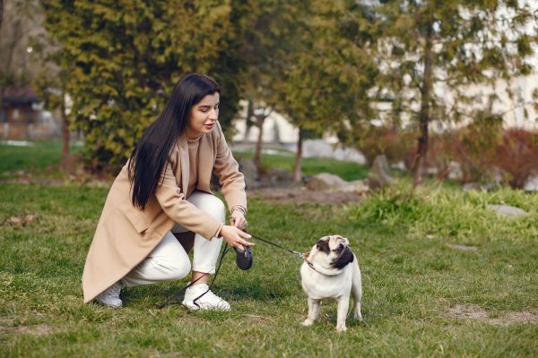 Les bienfaits de la balade quotidienne pour votre chien
